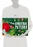 Комнатные растения. 100 самых популярных. Уход и выращивание. Размножение. Болезни и вредители - 1
