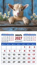 Календарь 2027г 94*167 «Год козы. Обаятельный малыш» на магните