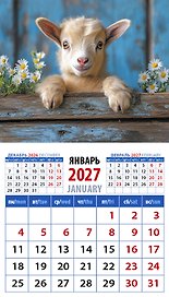 Календарь 2027г 94*167 «Год козы. Обаятельный малыш» на магните