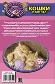 Кошки и котята - 1