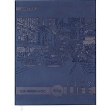 Дневник школьный GoodMark, Big city life