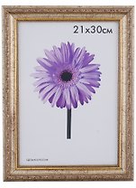 Рамка Dorothy Шампань 21*30см пластиковая