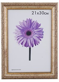 Рамка Dorothy Шампань 21*30см пластиковая