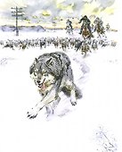 Медвежонок Джонни - 1