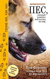 Пёс, который изменил мой взгляд на мир. Приключения и счастливая судба пса Наузада