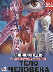 Тело человека