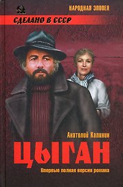Цыган : роман