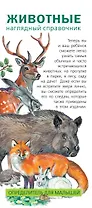 Животные. Наглядный справочник. Определитель для малышей