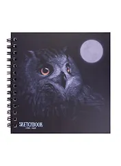 Скетчбук 192*192 60л "Ночной филин" 120г/м2, тв.обложка, евроспираль