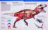 Knowledge Encyclopedia Dinosaur! - 2