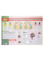 Тематический плакат "Ручные осколочные гранаты"