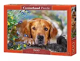 Пазл Castorland 500 эл., Ретривер 47*33см. B-52622