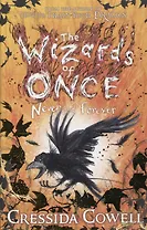 The Wizards of Once: Never and Forever