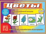 Цветы. Лесные, луговые, садовые. 4-6 лет. Демонстрационный материал