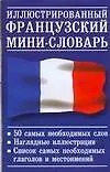 Иллюстрированный французский  мини-словарь. 50 слов