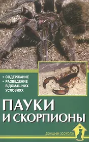 Пауки и скорпионы. Содержание. Разведение в домашних условиях