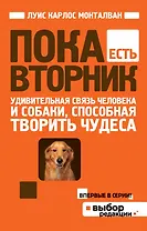 Пока есть Вторник. Удивительная связь человека и собаки, способная творить чудеса