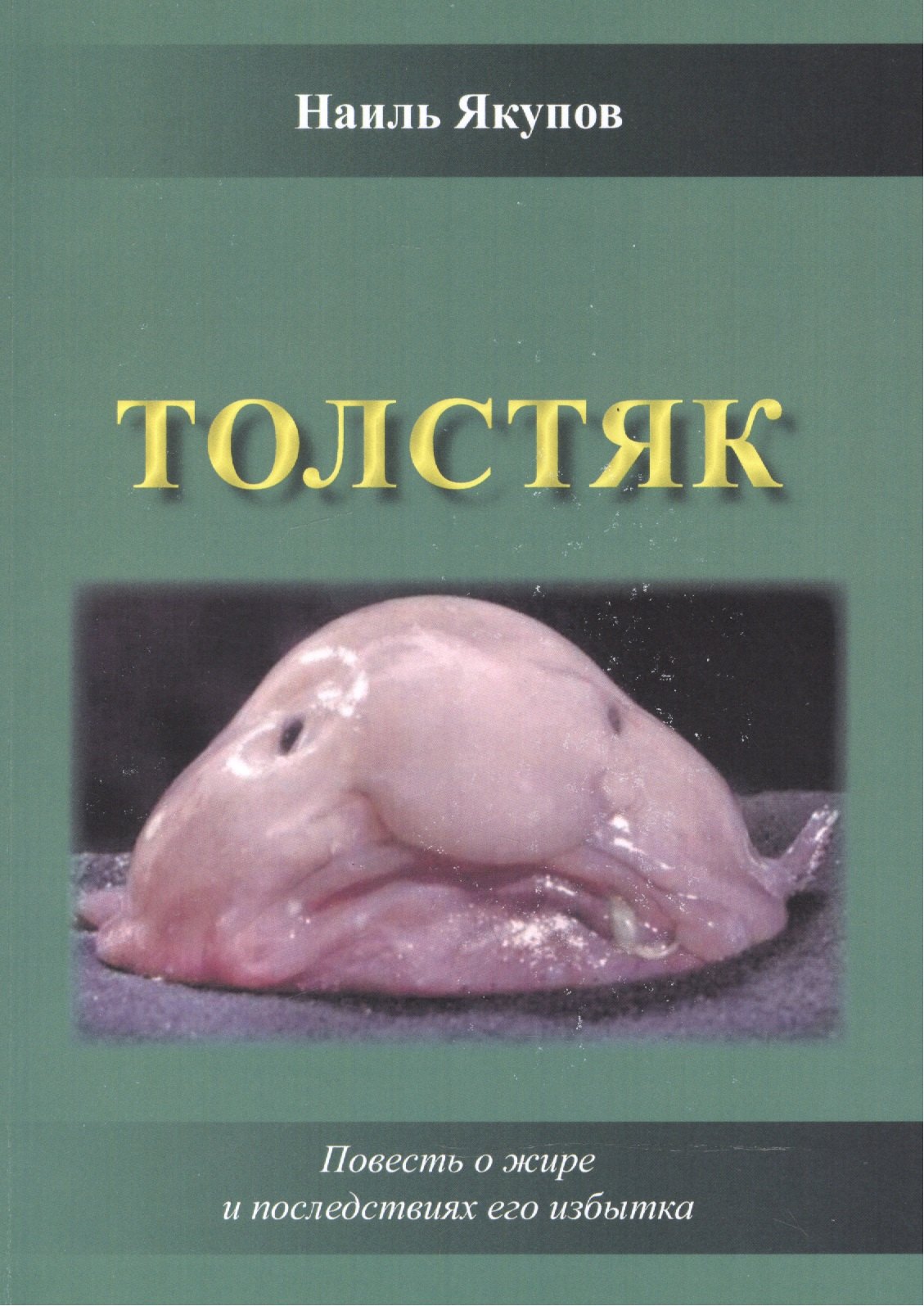 

Толстяк. Повесть о жире и последствиях его избытка