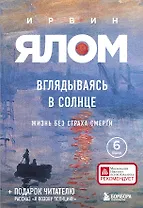 Вглядываясь в солнце. Жизнь без страха смерти