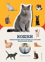 Кошки