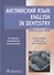Английский язык. English in Dentistry: учебник - 0