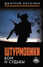 Штурмовики. Бои и судьбы
