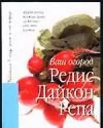 Редис. Дайкон. Репа
