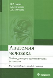 Анатомия человека.