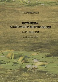 Ботаника анатомия и морфология Курс лекций Уч. пос. (Завидовская)