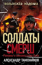 Волынская мадонна