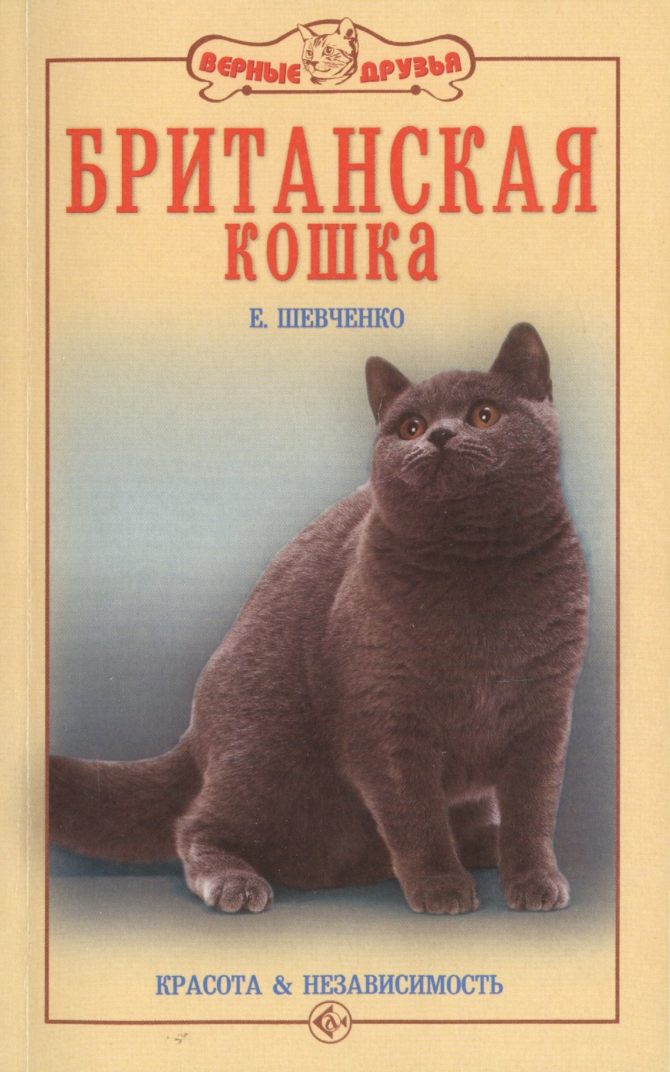 

Британская кошка. Красота и независимость.