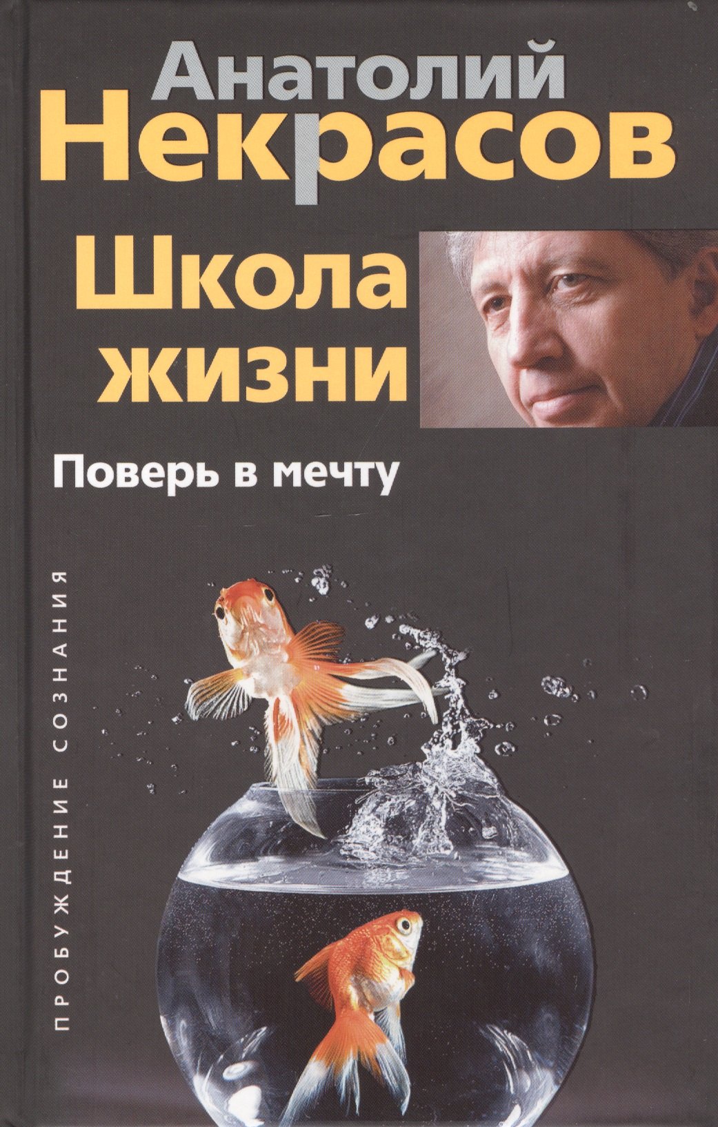 

Школа жизни. Поверь в мечту