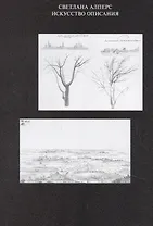 Искусство описания. Голландская живопись в XVII веке