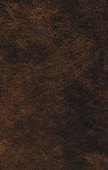 Люблю грозу в начале мая...: стихотворения, письма - 1