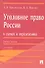 Уголовное право России в схемах и определениях.Уч.пос.-2-е изд. - 0
