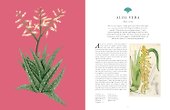 Kew: Rare Plants: The world`s unusual and endangered plants - 1