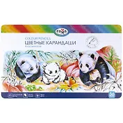 Карандаши цветные 36цв "Классические", грифель 3,3мм, метал.кор., Гамма