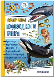 Секреты подводного мира. Обзор на 360 градусов!