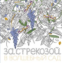 За стрекозой в волшебный сад