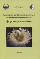 Руководство для большого практикума по зоологии беспозвоночных. Форониды и мшанки. Часть 1