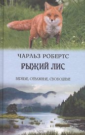 Рыжий лис