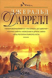 Перегруженый ковчег.Три билета до Эдвенчер.