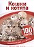 Кошки и котята - 0