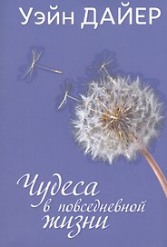 Чудеса в повседневной жизни