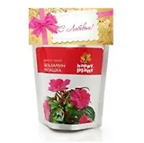 Набор для выращивания Бальзамин милашка (hp-18) (упаковка)