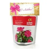 Набор для выращивания Бальзамин милашка (hp-18) (упаковка)