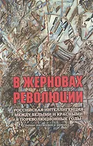 В жерновах революции: Российская интеллигенция между белыми и красными в пореволюционные годы: Сборник документов и материалов