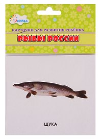 Карточки для развития ребенка "Рыбы России"