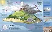 Life Cycles - 1