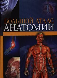 Большой атлас анатомии